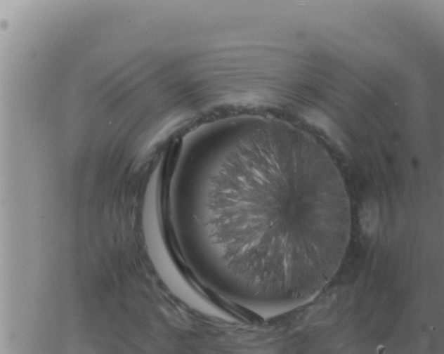 X0000062920968200601201957