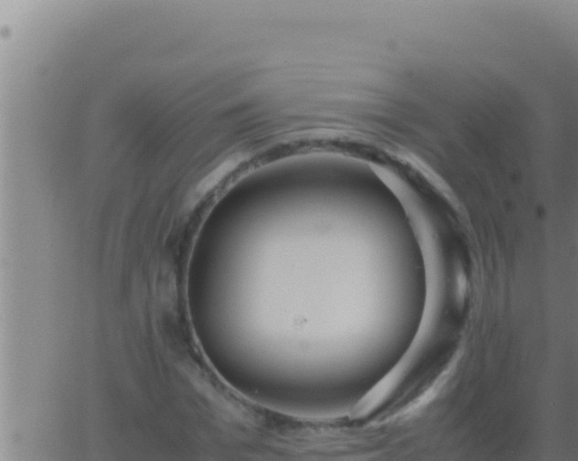 X0000062920969200601201957