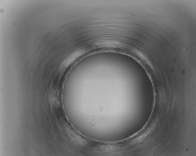 X0000062920970200601201957