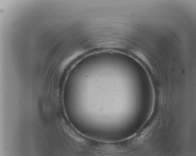 X0000062920971200601201957