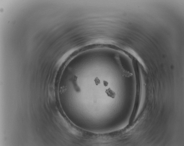 X0000062920972200601201957