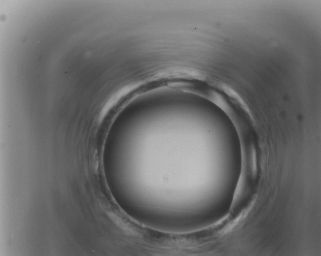 X0000062920973200601201957