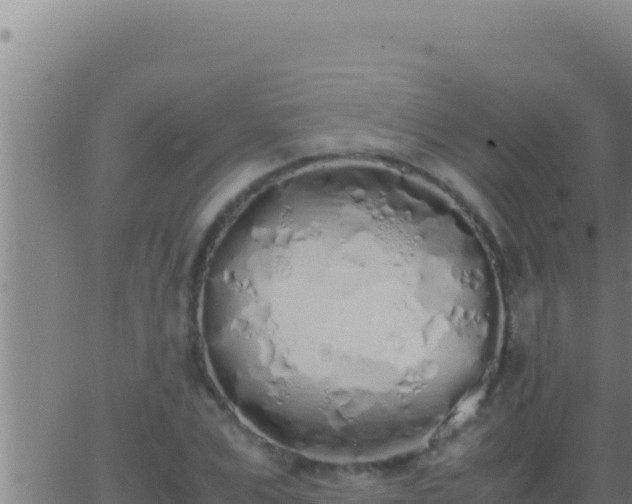 X0000062920975200601201957