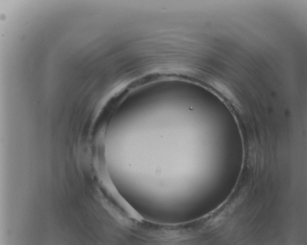 X0000062920976200601201957