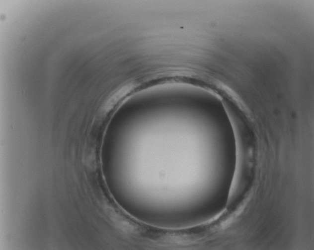 X0000062920977200601201957