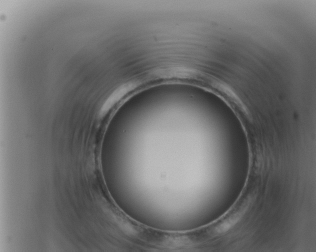 X0000062920978200601201957