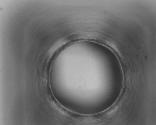 X0000062920979200601201957