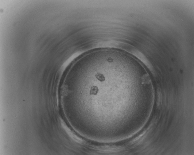 X0000062920980200601201957