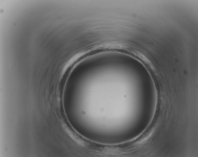 X0000062920981200601201957