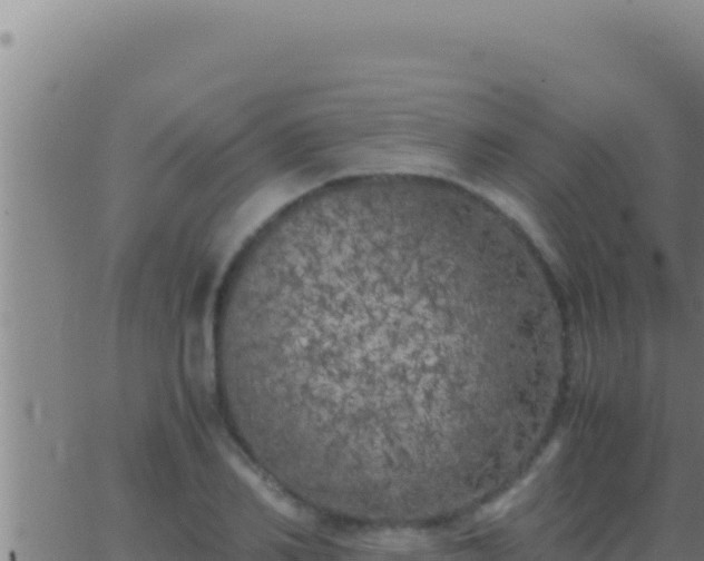 X0000062920982200601201957