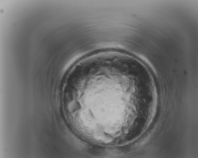 X0000062920983200601201957