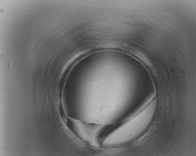 X0000062920984200601201957