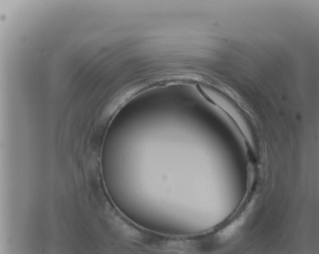 X0000062920985200601201957