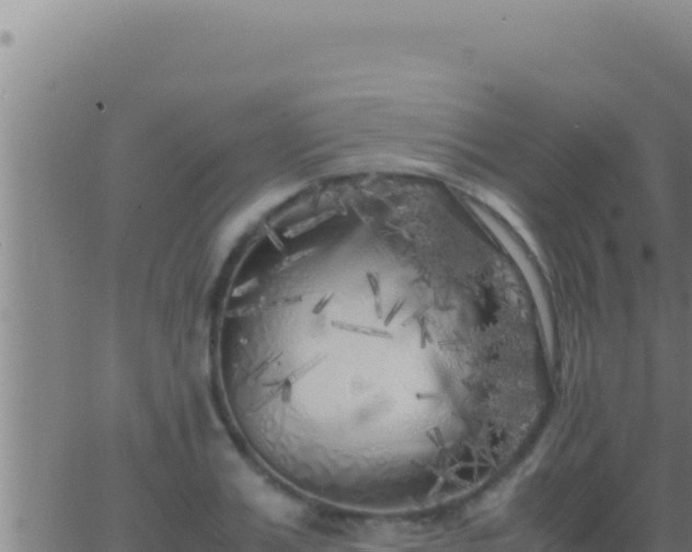 X0000062920987200601201957