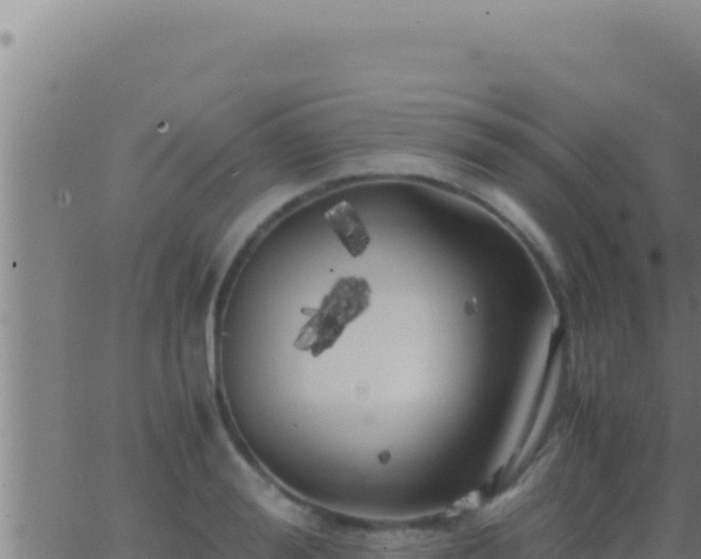 X0000062920988200601201957