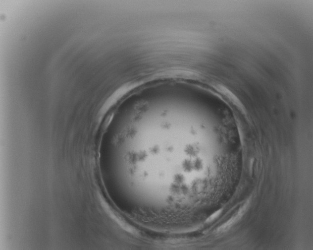 X0000062920989200601201957