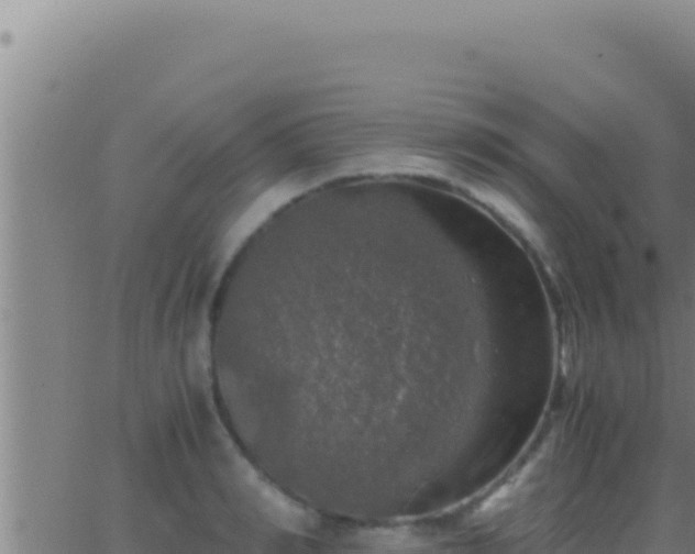 X0000062920990200601201957