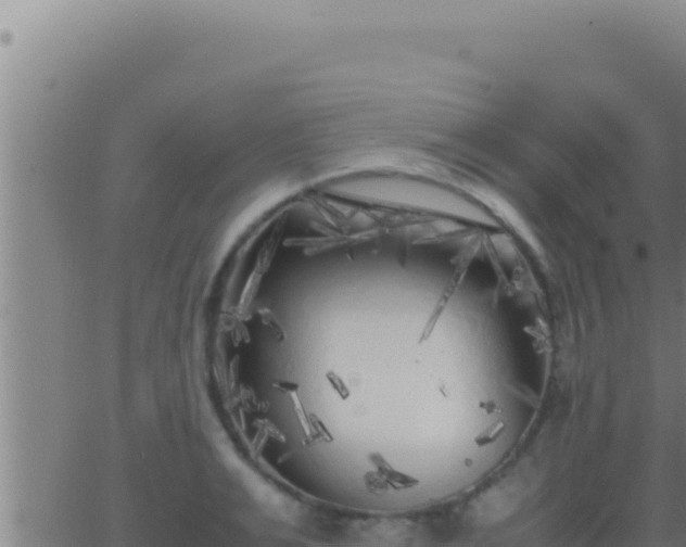 X0000062920991200601201957