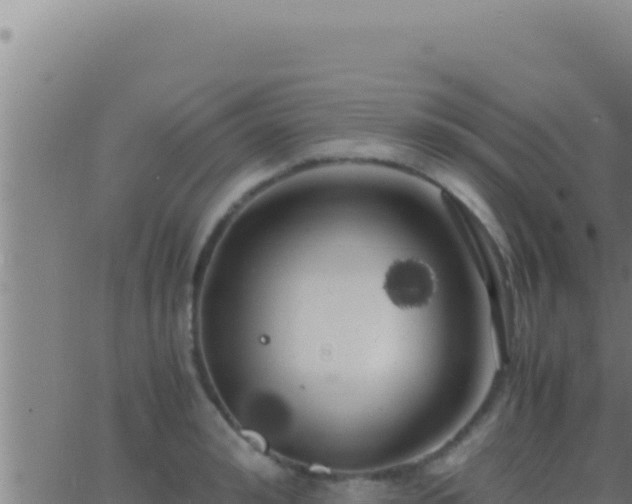 X0000062920992200601201957