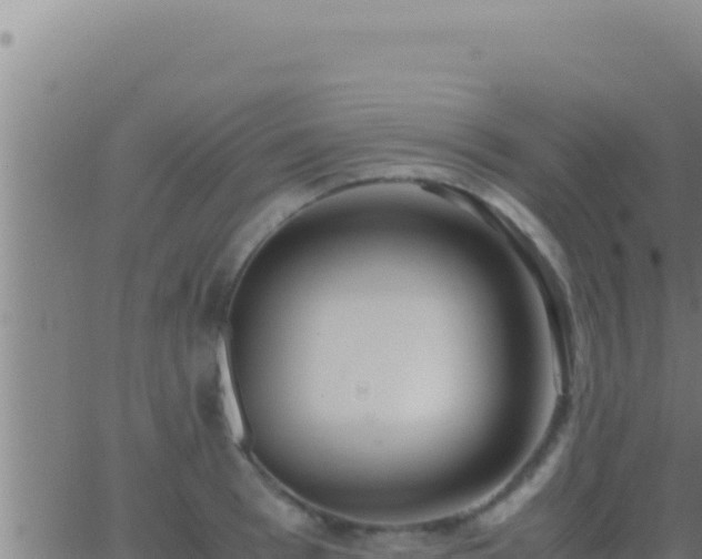 X0000062920993200601201957