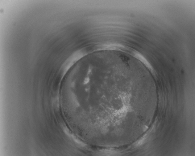 X0000062920994200601201957