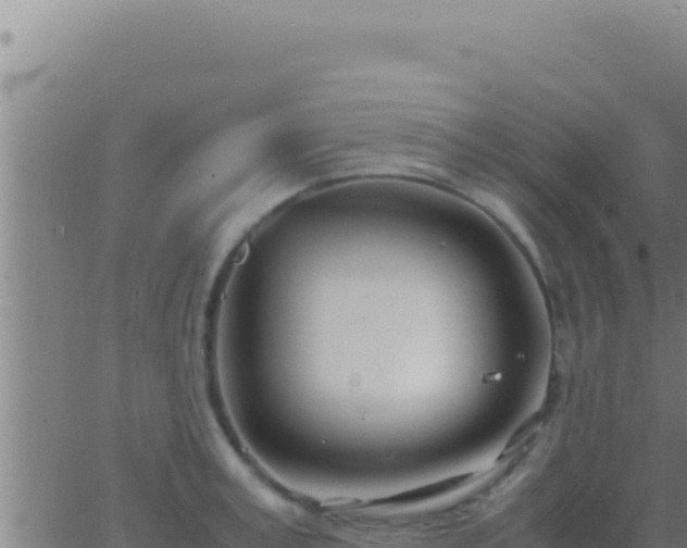 X0000062920995200601201957