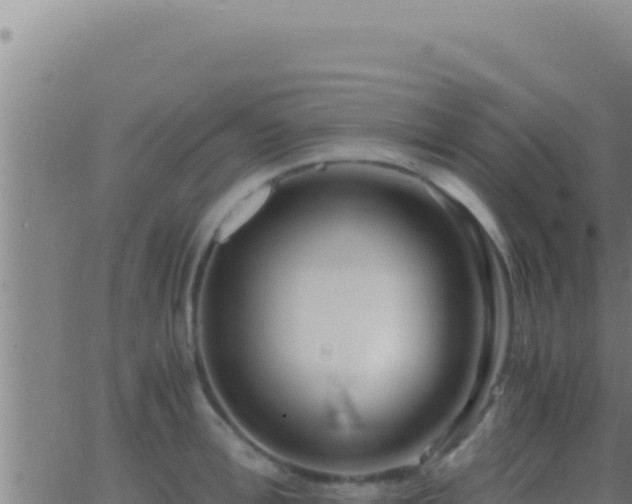 X0000062920996200601201957