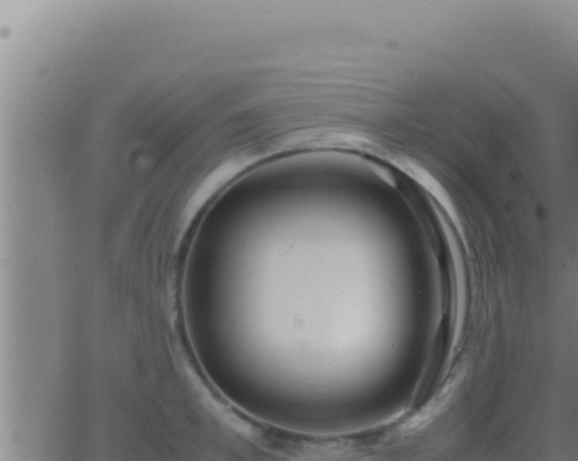 X0000062920997200601201957