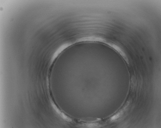 X0000062920998200601201957