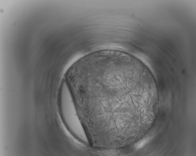 X0000062920999200601201957