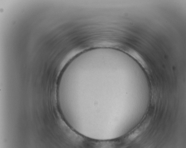 X0000062921000200601201957