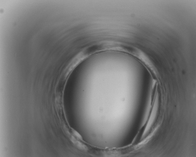 X0000062921001200601201957