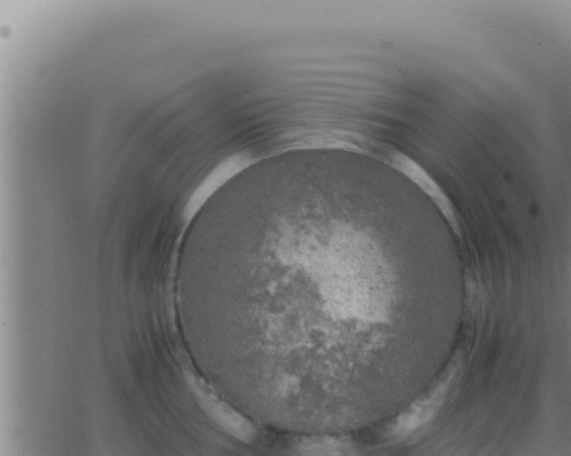 X0000062921002200601201957