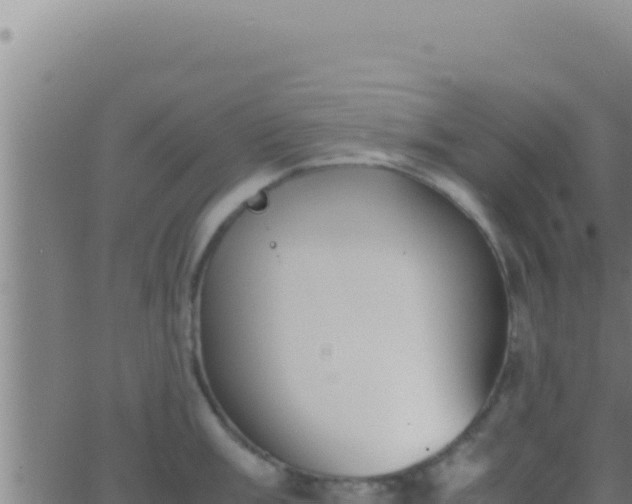 X0000062921003200601201957