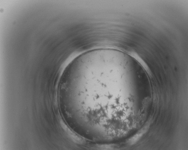 X0000062921004200601201957