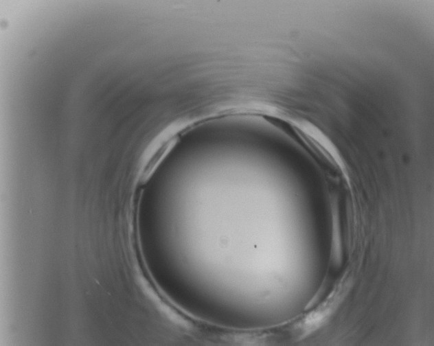 X0000062921005200601201957