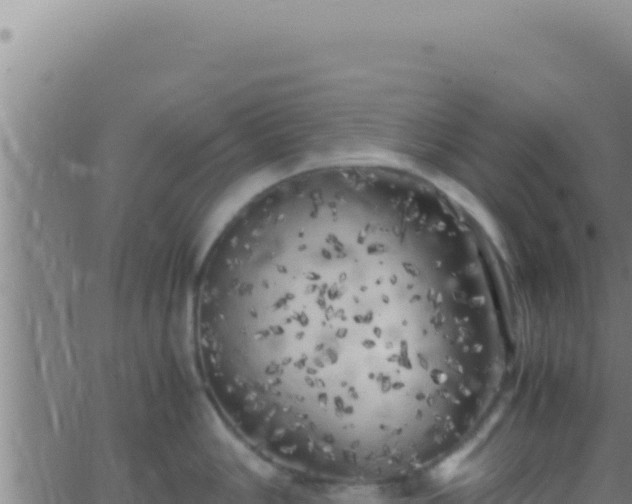 X0000062921006200601201957