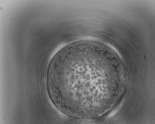 X0000062921007200601201957