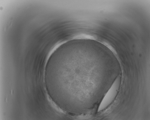 X0000062921008200601201957