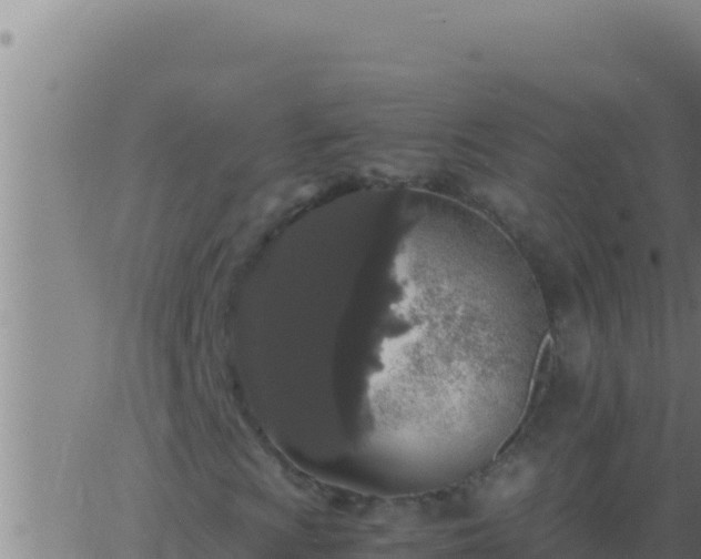 X0000062921009200601201956