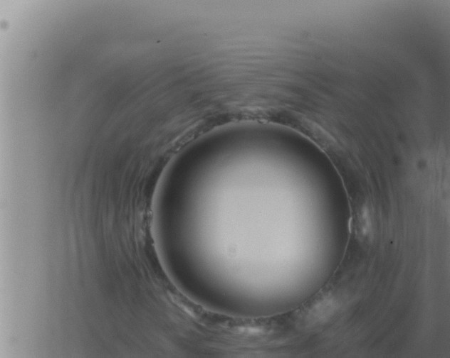 X0000062921010200601201956