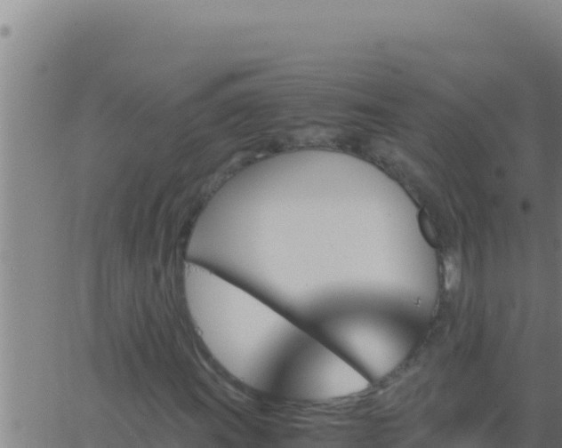 X0000062921011200601201956