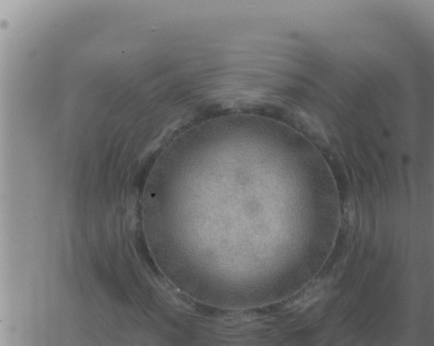 X0000062921012200601201956