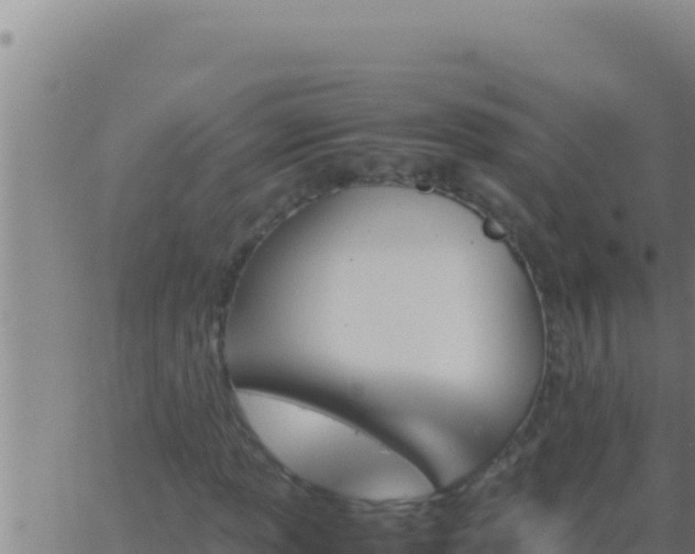 X0000062921013200601201956