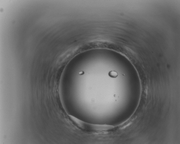 X0000062921014200601201956