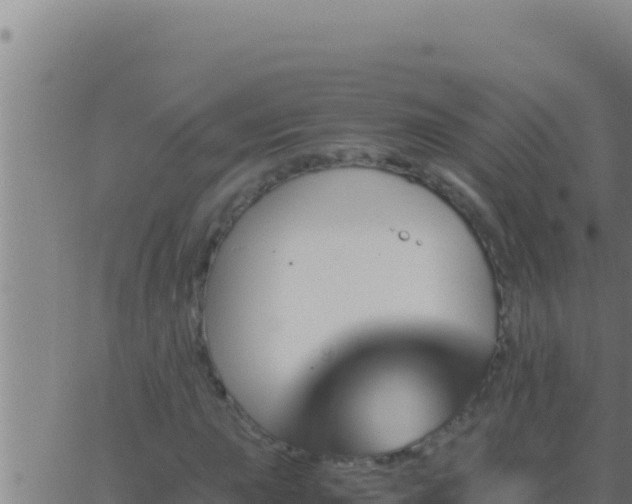 X0000062921015200601201956