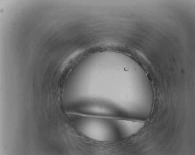 X0000062921016200601201956