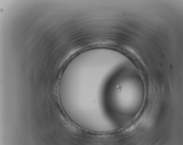 X0000062921017200601201956