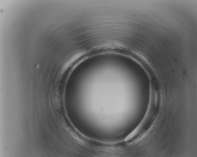 X0000062921018200601201956