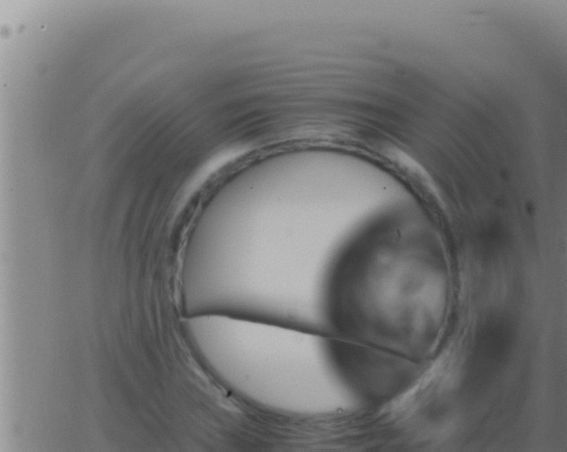 X0000062921019200601201956